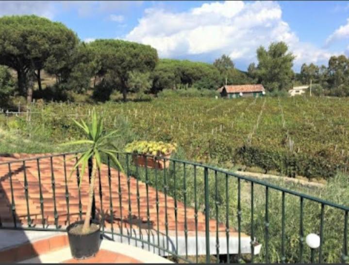 Beb Casale Pompei Rendine Villa Boscotrecase Exteriör bild