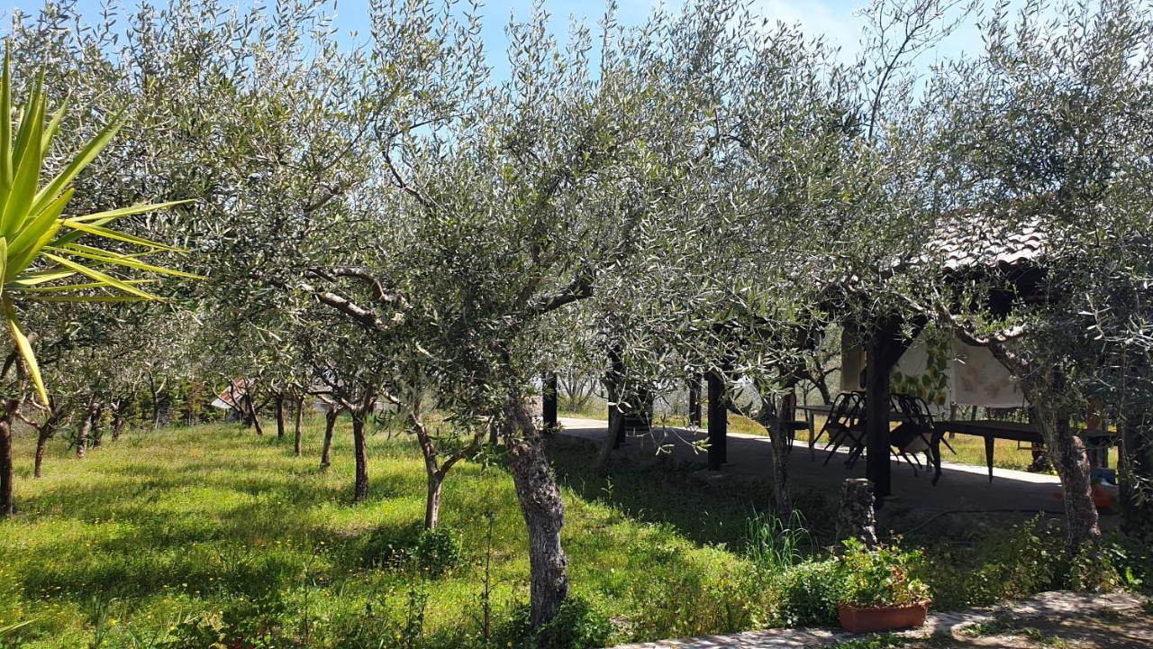 Beb Casale Pompei Rendine Villa Boscotrecase Exteriör bild