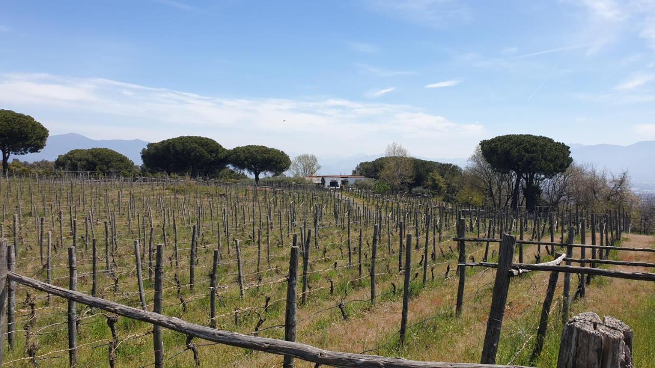 Beb Casale Pompei Rendine Villa Boscotrecase Exteriör bild