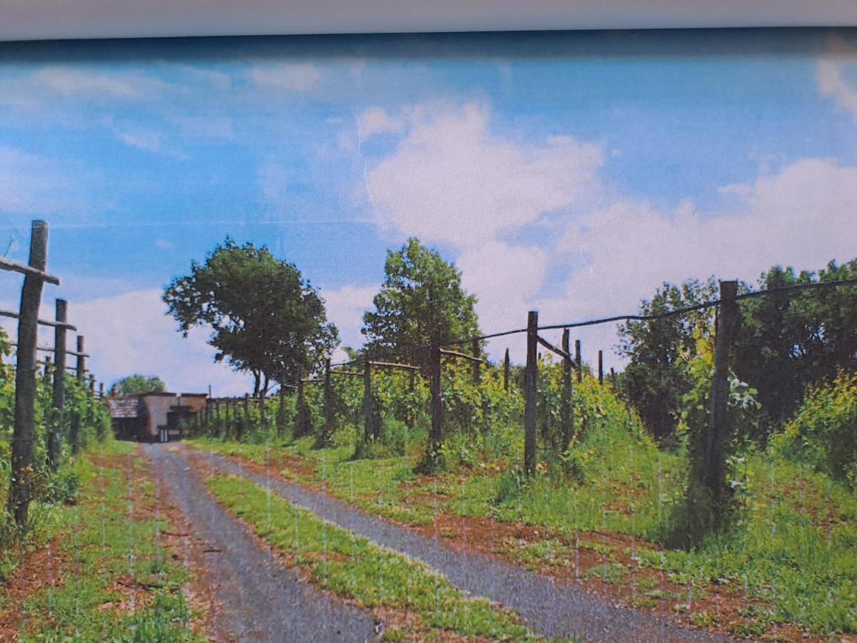 Beb Casale Pompei Rendine Villa Boscotrecase Exteriör bild
