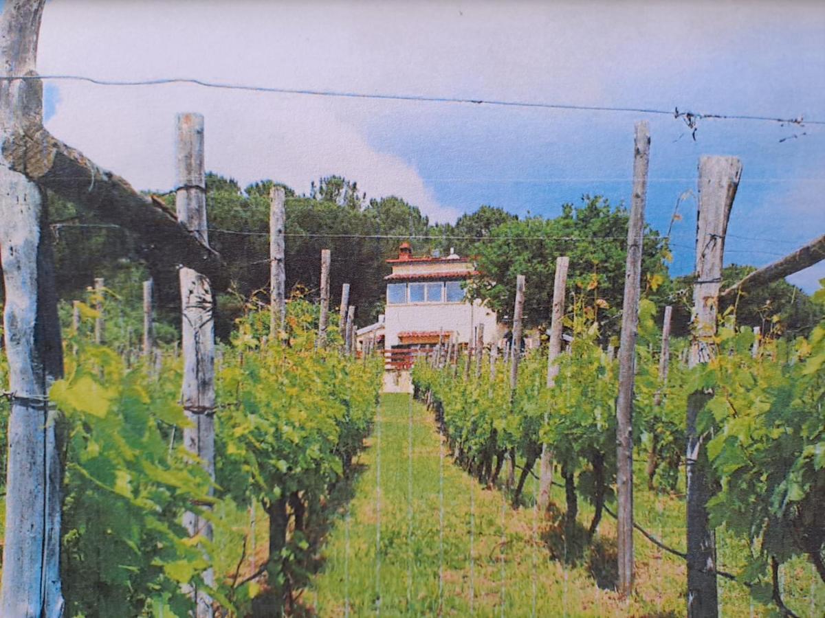 Beb Casale Pompei Rendine Villa Boscotrecase Exteriör bild